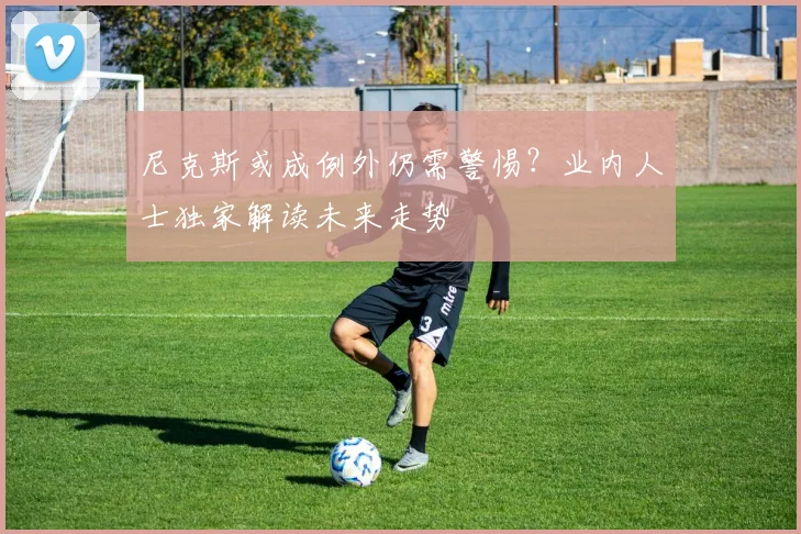 尼克斯或成例外仍需警惕？业内人士独家解读未来走势